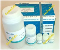 供应Lowry法蛋白测定试剂盒