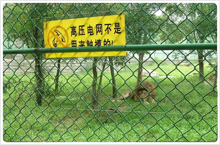 供应畜牧围栏网