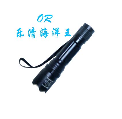供应微型防爆电筒JW7300