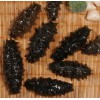 【泉州】海参的营养价值 海参怎么吃 海参的做法