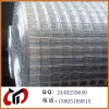 供应不锈钢电焊网 电焊网 不锈钢网 包塑电焊网