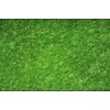 运动草坪——绿洲人造草坪有限公司欢迎您