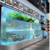 鱼缸制作首选苏州水之恋水族鱼缸制作