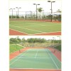 无锡绿奥〔出售|面议〕无锡网球场人造草坪 品质保证