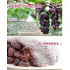 台湾进口有机葡萄干，伸凰贸易