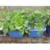 阳台蔬菜无土栽培设备 阳台菜园种菜种花设备价格 阳台种菜方法