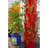 阳台种菜设备 家庭菜园展示 家庭阳台立体栽培 柱式组合花盆