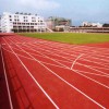 青海西宁各种人造草坪，塑胶跑道，首选力源体育