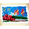 陕北特产佳县有机红枣特级500g全国包邮