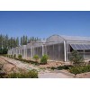 山东连栋温室建设--连栋温室建设--天河温室