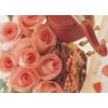 厦门情人节送花超值热卖 99朵玫瑰花束提前预定就是优惠