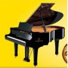 东营最好的钢琴供应 东营最受欢迎的琴行是哪家 东营琴行