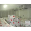 广州禽肉冷冻速冻厂家快速安装质量保证！