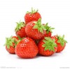 草莓苗 草莓栽子 四季草莓苗 优质草莓苗