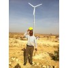 谷歌推荐安徽蜂鸟20KW风力发电机，plc控制，安全稳定
