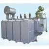 供应 优质油浸式变压器 厂家直销-天力设备