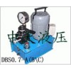 DBS系列液压电动泵型号 德州DBS系列液压电动泵厂家中天