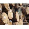 中国哪有进口铁杉 中国进口木材 中国进口木材加工厂