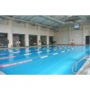 游泳池专用有机硅防水涂料颜色多样 美好环境