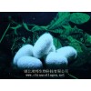 湖北荆州丝素肽-专业生产丝素肽厂家-丝素肽功效是什么？