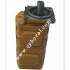 浩沃液压专业生产双联齿轮泵，质量保证