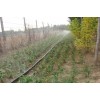 蔬菜微喷带厂家VS农业灌溉用微喷带厂家