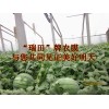 哪里的西瓜专用膜质量好，到潍坊青州久丰塑料厂