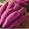 泰安紫薯品种—【紫罗兰】种苗专供，品质好、【价格低】
