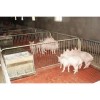 供应直销母猪保育床批发价实惠