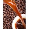 咖啡专用植脂末供应