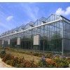 玻璃智能连栋温室建设首选山东圣龙实业集团有限公司