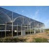 日光温室建设公司 温室大棚配件 日光温室制造