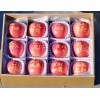 【正宗】安徽苹果苗 烟台红富士苹果苗 m26矮化苹果苗 价格