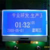 12864-20中尺寸COG液晶显示屏