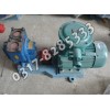 YHCB圆弧齿轮油泵,圆弧齿轮油泵,圆弧齿轮泵