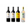 蓬悦干红葡萄酒性价比最高的葡萄酒，品质上乘