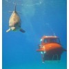潜水观光海底探险民用潜水艇