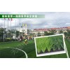 格林人造草坪厂家人造绿化造景足球场地楼顶草坪高尔夫球场用