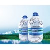 家庭专用水中国长白山泉阳泉5L大瓶装天然矿泉水