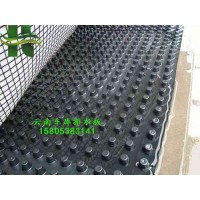 云南塑料排水板/2公分车库排水板土工布供应