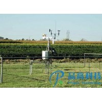 大田环境监测站自动灌溉气象站