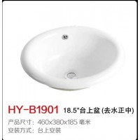 HY-B1901