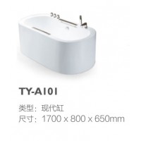 TY-A101