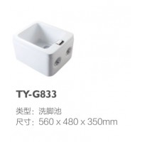 TY-G833
