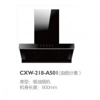 CXW-218-A501