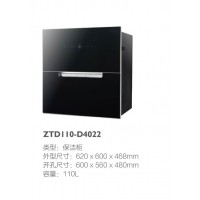 ZTD110-D4022