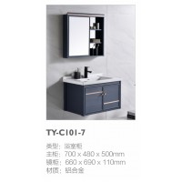 TY-C101-7