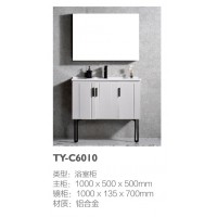 TY-C6010