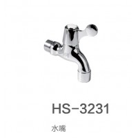 HS-3231