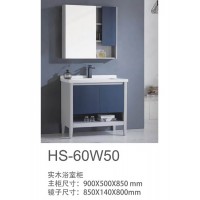 HS-60W50